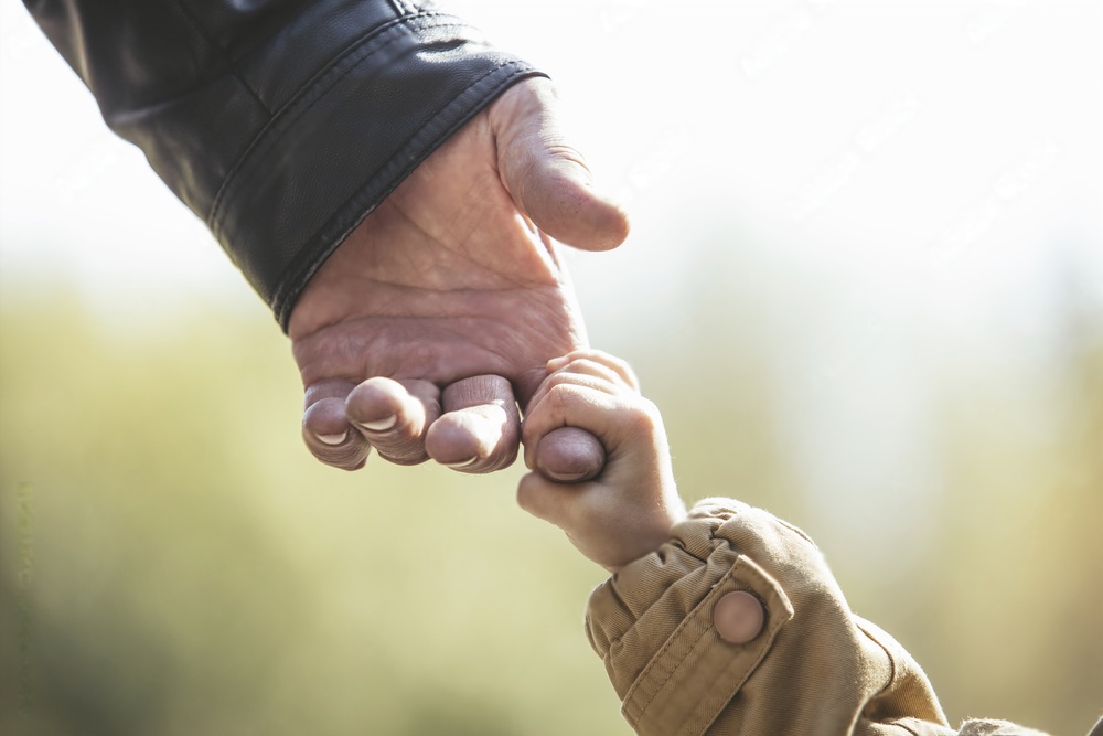 Herencia de abuelos a nietos con padre fallecido